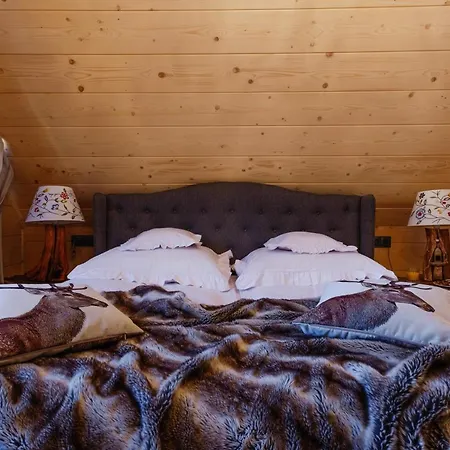 Bajkowa Lux Magiczne Z Jacuzzi Murzasichle